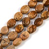 Natural Picture Jasper Beads Strands G-M420-D14-01-1