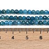 Natural Apatite Beads Strands G-E411-36-3mm-01-5
