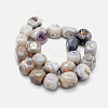 Natural Agate Beads Strands G-I245-32A-2