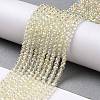 Electroplate Transparent Glass Beads Strands GLAA-H021-01B-FR04-3