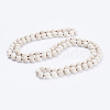 Natural Fossil Beaded Necklaces NJEW-P202-36-B09-1