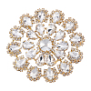 Brass Rhinestone Applique DIY-FG0009-87A-1