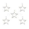 Non-Tarnish 201 Stainless Steel Pendants STAS-N098-096P-2