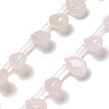 Natural Rose Quartz Beads Strands G-Q167-A05-02-1