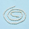 Natural Cultured Freshwater Pearl Beads Strands PEAR-J006-03F-01-3