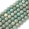 Natural Amazonite Beads Strands G-K068-03-8mm-2