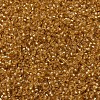 MIYUKI Round Rocailles Beads LS-X-SEED-G007-RR0004-3