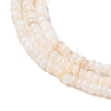 Natural Freshwater Shell Beads Strands SHEL-P017-01A-02-3