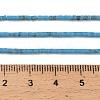 Dyed Synthetic Turquoise Beads Strands G-P594-01A-01-5