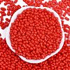 Baking Paint Glass Seed Beads SEED-K010-A12-3