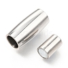 Tarnish Resistant 304 Stainless Steel Magnetic Clasps with Glue-in Ends STAS-C020-01P-2