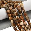 Natural Picture Jasper Beads Strands G-P497-01E-59-2