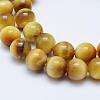 Natural Gold Tiger Eye Beads Strands G-K203-84-8mm-3