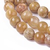 Natural Fossil Coral Beads Strands G-F648-01-A-3