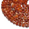 Natural Banded Agate(Dyed & Heated) Beads Strands G-K389-A25-01-3