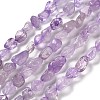 Natural Amethyst(Dyed & Heated) Beads Strands G-P497-01E-21-1