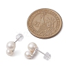 Natural Pearl Ear Studs EJEW-P286-24P-3