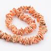 Natural Shell Bead Strands BSHE-P010-09-2