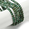 Natural African Jade Beads Strands G-K365-C08-01-1