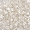 Transparent Acrylic Beads TACR-TA0001-10B-3