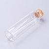 Glass Bottles X-AJEW-H102-06D-2