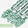  520Pcs 2 Style 2-Hole Glass Seed Beads SEED-NB0001-72B-5