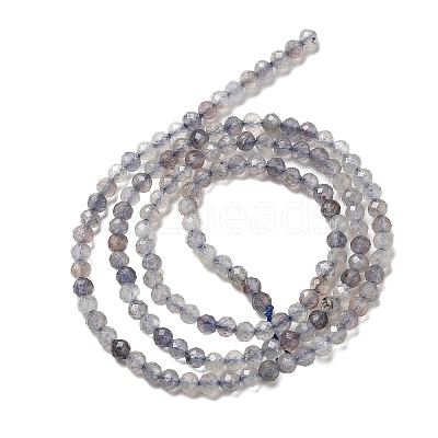Natural Cordierite/Iolite/Dichroite Beads Strands G-B145-A04-3mm-1