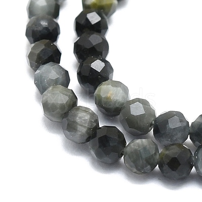 Natural Hawk's Eye Beads Strands G-P457-A03-06-1