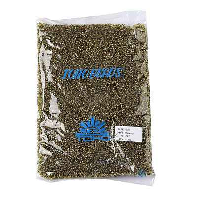TOHO Round Seed Beads SEED-TR08-0747-1