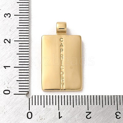 304 Stainless Steel Pendants STAS-L022-306G-08-1