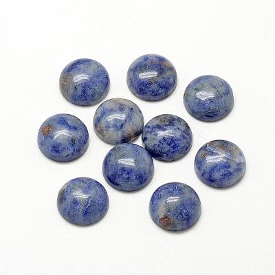 Natural Blue Spot Jasper Cabochons G-R416-14mm-45-1