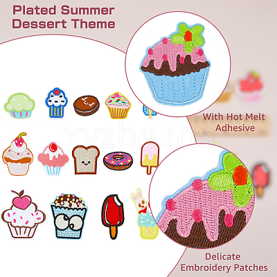 2 Sets 2 Style Polyester Embroidery Clothing Patches DIY-HY0001-14-1