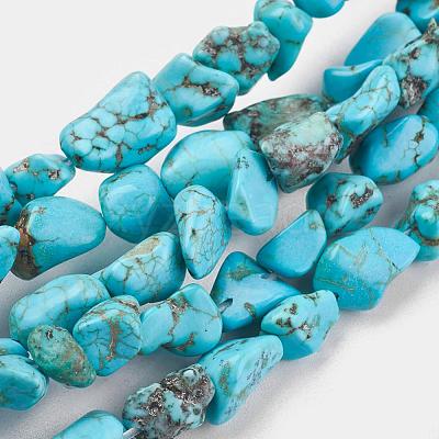 Natural Howlite Beads Strands X-TURQ-G101-03-1