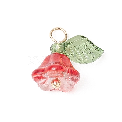 Glass & Acrylic Charms PALLOY-TA00037-1