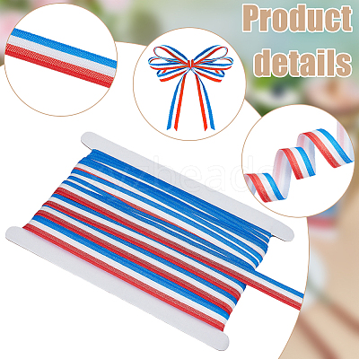 20M Polyester Striped Elastic Cords SRIB-WR0001-13-1