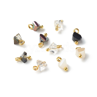 Electroplate Glass Charms PALLOY-JF00821-02-1