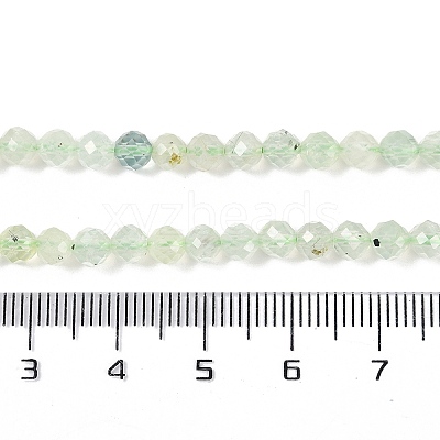Natural Prehnite Beads Strands G-G139-A05-03-1