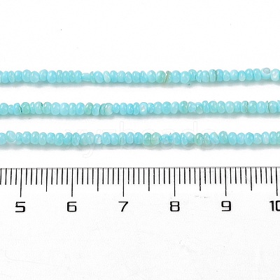 Natural Freshwater Shell Beads Strands SHEL-P017-01A-03-1