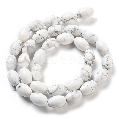Natural Howlite Beads Strands G-B106-B25-01-1