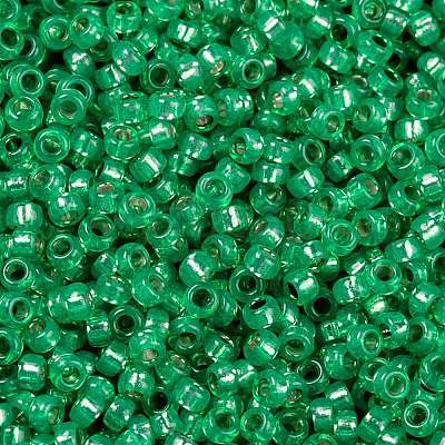 MIYUKI Round Rocailles Beads X-SEED-G009-RR0646-1