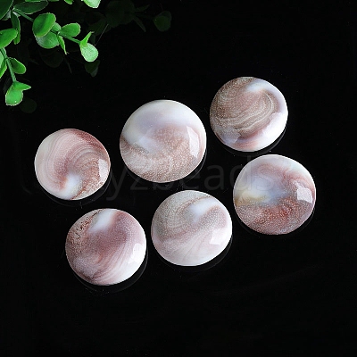 Natural Conch Shells Round Decorations PW-WG89460-01-1