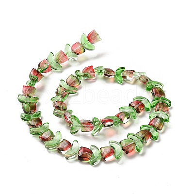 Transparent Glass Beads Strands LAMP-H061-02K-1