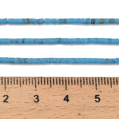 Dyed Synthetic Turquoise Beads Strands G-P594-01A-01-1