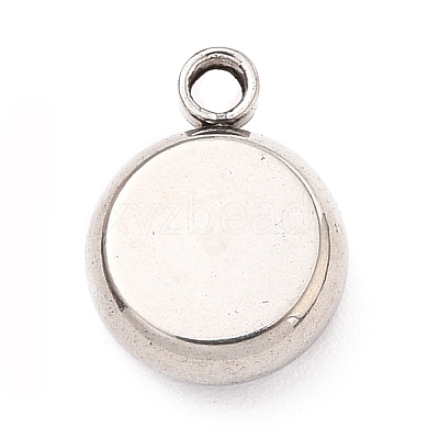 304 Stainless Steel Charms STAS-I165-04B-P-1