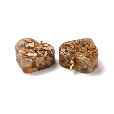 Transparent Resin Natural Imperial Jasper Dyed Chips Pendants G-E185-12G-04-1
