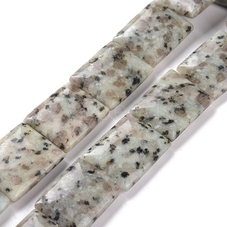 Natural Sesame Jasper/Kiwi Jasper Beads Strands G-P469-04-1