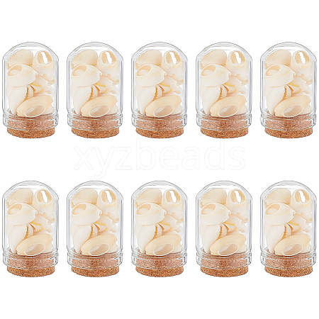 Arch Shape Glass Dome Bell Jar with Natural Mixed Cowrie Shell inside AJEW-AB00017-1