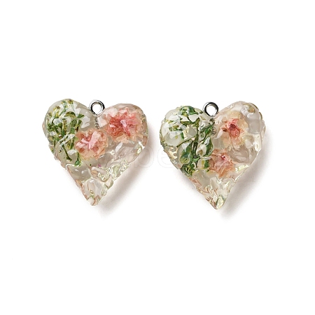 Inner Dried Flower Transparent Resin Pendants RESI-A043-03C-1