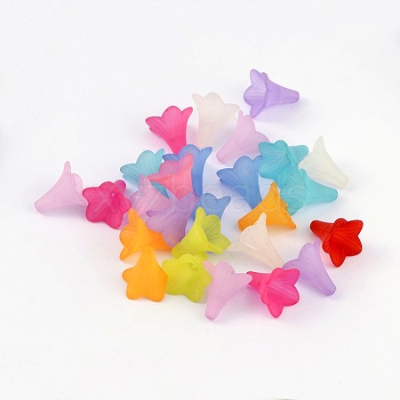 Transparent Acrylic Beads FACR-R011-M-1