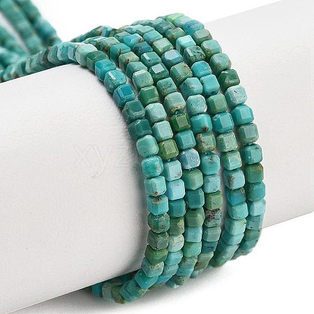 Natural HuBei Turquoise Beads Strands G-H042-B34-01-1